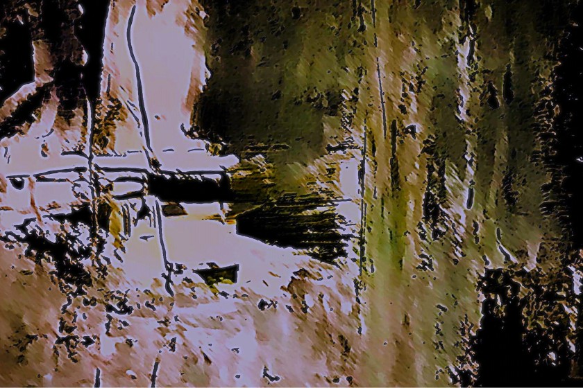 যে পাথর বেড়ে ওঠে (La pierre qui pousse)